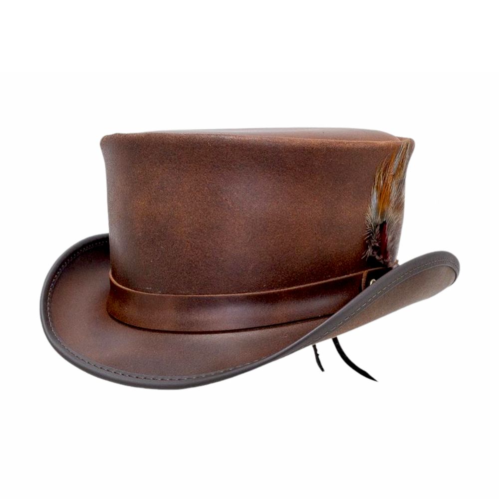 Brown leather top hat with feather trim.
