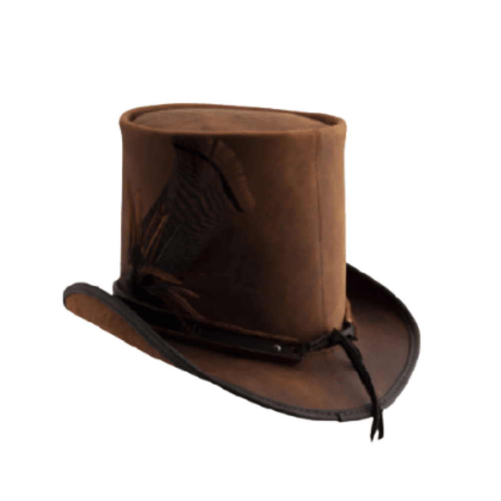 Brown top hat with a feather on a white background