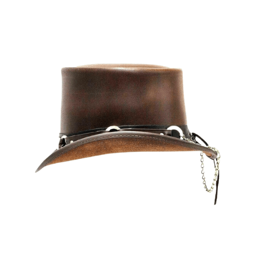 Stylish Brown Ring Band Hat
